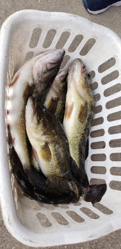 Click to view 20210321_152803.jpg