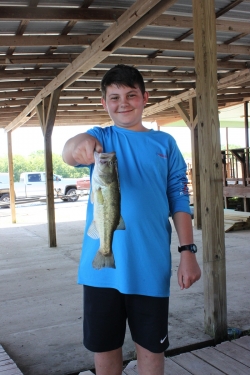 Click to view IMG_0771.JPG