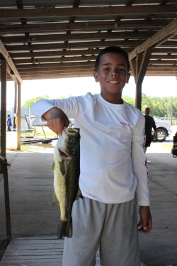 Click to view IMG_0773.JPG