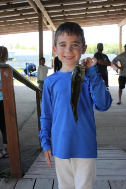 Click to view IMG_0778.JPG