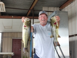 Click to view IMG_5825.JPG