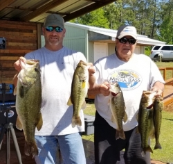 Click to view IMG_0781.jpg