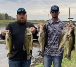 Click to view IMG_0895.jpg