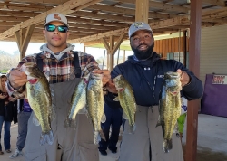 Click to view 12.jpg