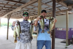 Click to view IMG_0786.JPG