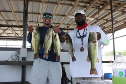 Click to view IMG_5808.JPG