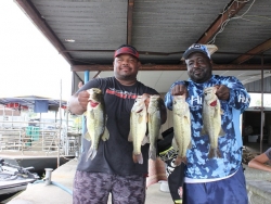 Click to view IMG_5860.JPG