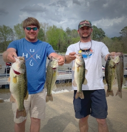 Click to view IMG_3825.JPG