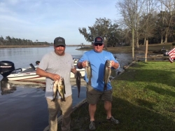 Click to view T11.jpg