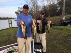 Click to view T13.jpg