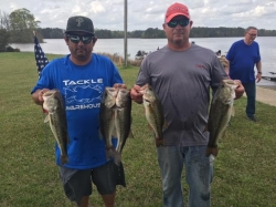 Click to view T21.jpg