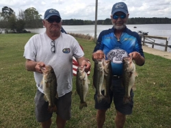 Click to view T22.jpg