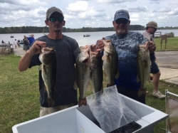 Click to view T24.jpg