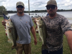 Click to view T2pic5.jpg