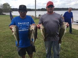 Click to view T2pic7.jpg