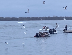 Click to view IMG_0391.JPG