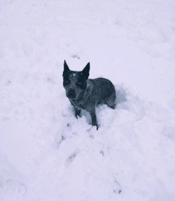 Click to view part05.jpg