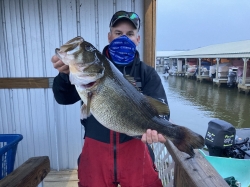 Click to view IMG_0137.JPG