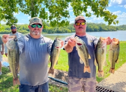 Click to view IMG_0905.JPG