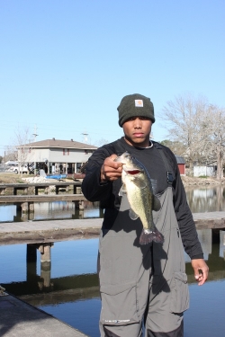 Click to view IMG_6031.JPG