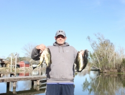 Click to view IMG_6034.JPG