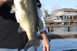 Click to view IMG_6040.JPG