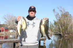 Click to view IMG_6042.JPG