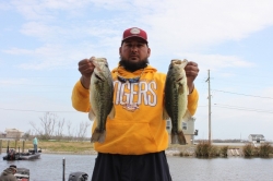 Click to view IMG_7243.JPG