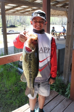 Click to view IMG_7298.JPG