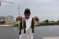 Click to view IMG_7388.JPG