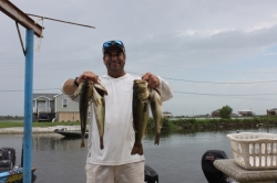 Click to view IMG_7394.JPG