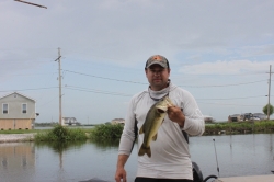 Click to view IMG_7404.JPG