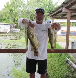 Click to view IMG_7408.JPG