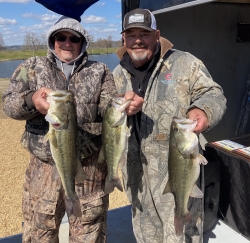 Click to view IMG_0691.jpg