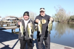 Click to view IMG_7213.JPG