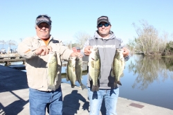 Click to view IMG_7214.JPG