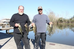 Click to view IMG_7218.JPG