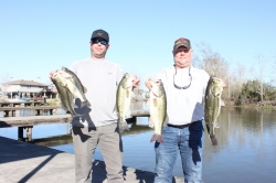 Click to view IMG_7221.JPG