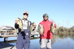 Click to view IMG_7223.JPG