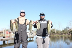 Click to view IMG_7224.JPG