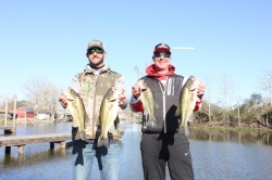 Click to view IMG_7225.JPG