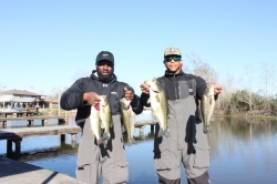 Click to view IMG_7230.JPG