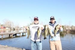 Click to view IMG_7231.JPG