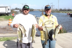 Click to view IMG_7261.JPG