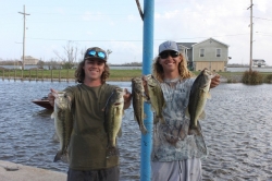 Click to view IMG_7263.JPG