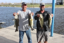 Click to view IMG_7264.JPG