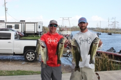 Click to view IMG_7274.JPG