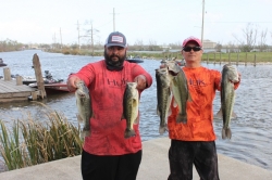 Click to view IMG_7286.JPG