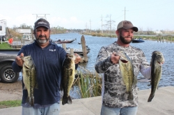 Click to view IMG_7288.JPG