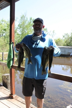 Click to view IMG_7315.JPG